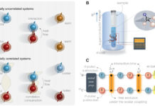 Experiment shows that arrow of time is a relative concept, not an absolute one