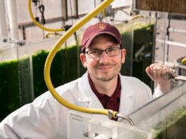 ASU developing biodegradable plastics made from bacteria
