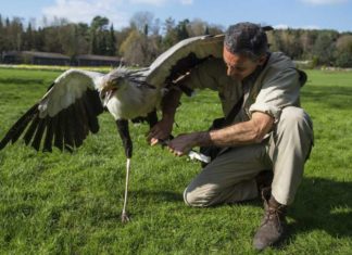 Using 3D Printing Technology to Save the Animals in 2017
