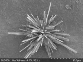 From greenhouse gases to plastics: New catalyst for recycling carbon dioxide discovered