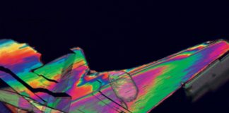 Bio-renewable process could help ‘green’ plastic