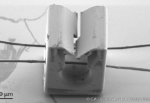 Nanoscribe’s Photonic Professional GT 3D Printer Put to Use in Life Sciences Studies on 3D Printed Micro-Objects