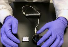 Spine-like flexible rechargeable lithium-ion batteries