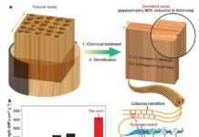 Super Wood That Could Replace Steel
