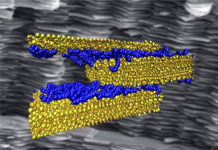 Weak hydrogen bonds key to strong, tough infrastructure