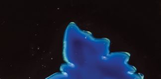 Polymers that mimic chameleon skin