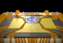 Einstein-Podolsky-Rosen paradox observed in many-particle system for the first time