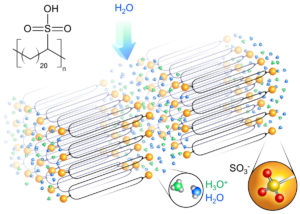 solid-polymer-electrolyte