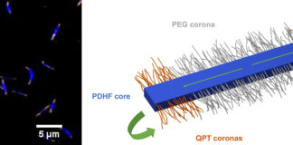 Polymer crystals hold key to record-breaking energy transport