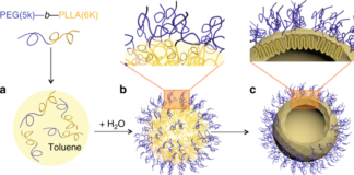 Drexel develops ‘crystalsome’ polymer for improved intravenous drug delivery