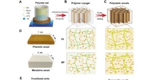 Team develops a family of bioinspired artificial woods from traditional resins