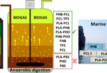 Biodegradable plastic blends offer new options for disposal