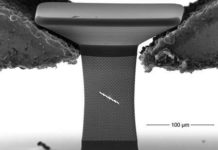 New Materials Exhibit Split Personality