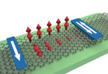 Graphene bilayer provides efficient transport and control of spins