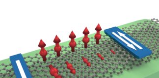 Graphene bilayer provides efficient transport and control of spins