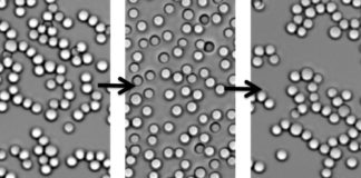 Reversible Self-Assembly of Macroscopic “Polymers”