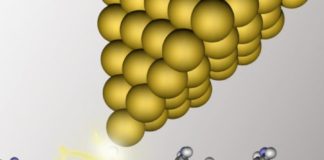 Polymers may be the key to single-molecule electronic devices