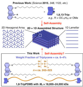Self-assembling silicone-based polymers Self-assembling silicone-based polymers