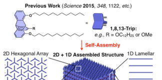Self-assembling silicone-based polymers