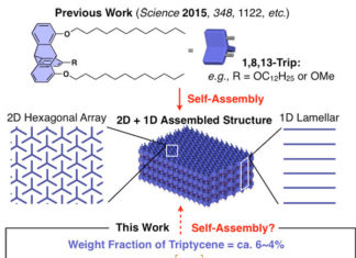 Self-assembling silicone-based polymers