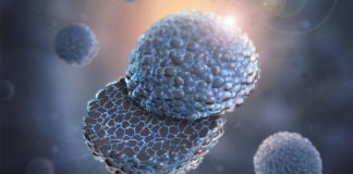 Polymer-Coated Cathode Improves Lithium Ion Battery Performance