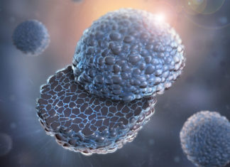 Polymer-Coated Cathode Improves Lithium Ion Battery Performance