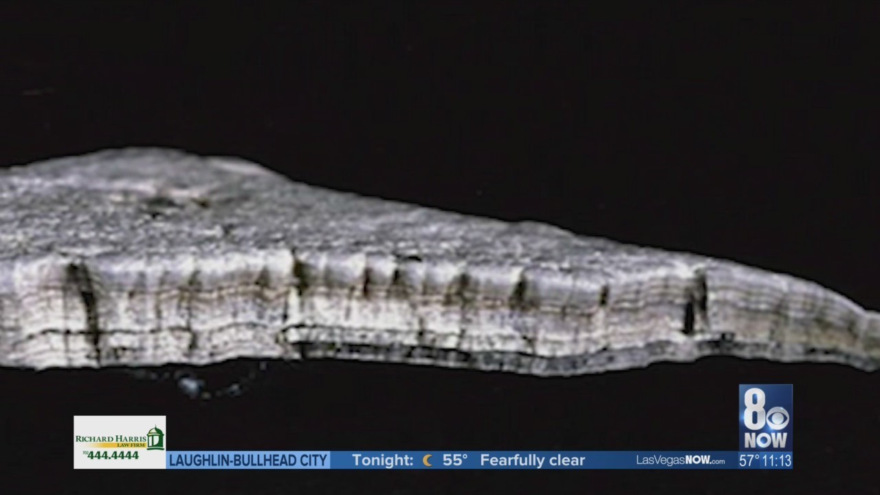 The mystery of unknown materials PlasticStar