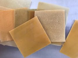 Bioplastic derived from cactus leaves