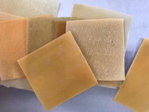 Bioplastic derived from cactus leaves Bioplastic derived from cactus leaves