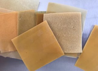 Bioplastic derived from cactus leaves