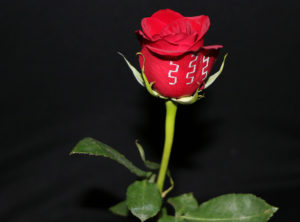 Engineers print metal on flowers and jello Engineers print metal on flowers and jello