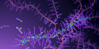 New synthesis method yields degradable polymers