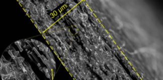 Breakthrough in Cathode Chemistry Clears Path for Lithium-Sulfur Batteries’ Commercial Viability