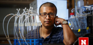 Plant-Based Component could Boost Bacterial Production of Biodegradable Plastic