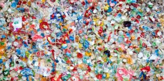 Engineering Enzymes to Help Solve the Planet’s Plastic Problem
