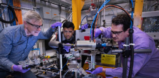 Hidden Distortions Trigger Promising Thermoelectric Property