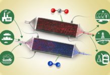 Cracking the Carbon Removal Challenge
