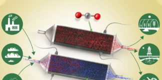 Cracking the Carbon Removal Challenge