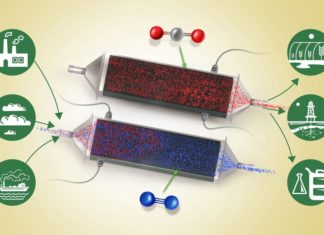 Cracking the Carbon Removal Challenge