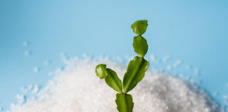 New Packaging could Lower Plastic Industry’s Carbon Footprint