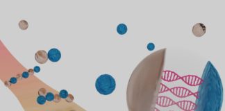 Physicists Take Self-Assembly to New Level by Mimicking Biology
