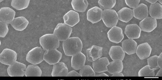 Progress Toward Fast-Charging Lithium-Metal Batteries