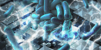 3D Printed Ferroelectric Materials Eliminate Harmful Bacteria