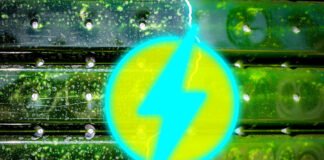 MIT Engineers Fouling in Photo Bioreactors for CO2 Capture