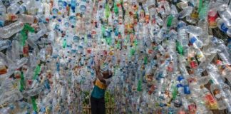 Recycling Plastic into Art