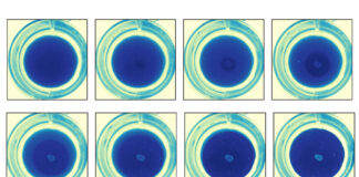 Advancing Material Innovation to Address the Polymer Waste Crisis