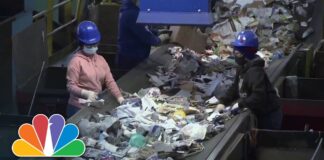 Artificial Intelligence Revolutionize Recycling
