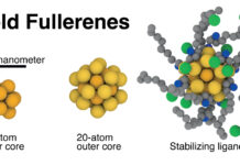 Gold Nanoparticles Grow from Buckyball Seeds