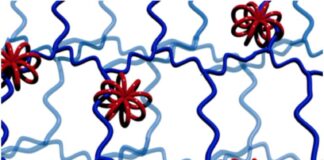 Multicyclic Molecular Wheels with Polymer Potential