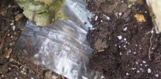 Making Bioplastics that are Easier to Compost